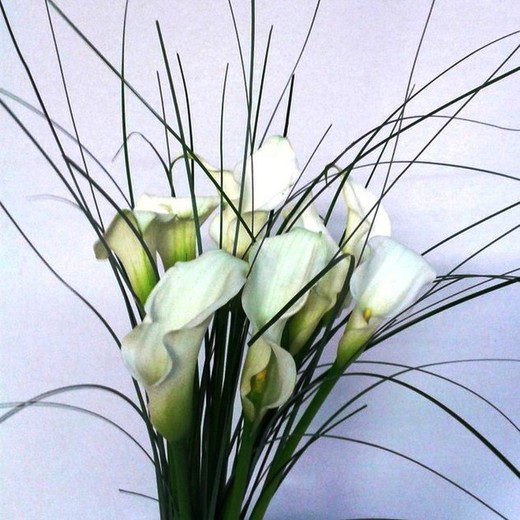 Bouquet de Callas avec Ours