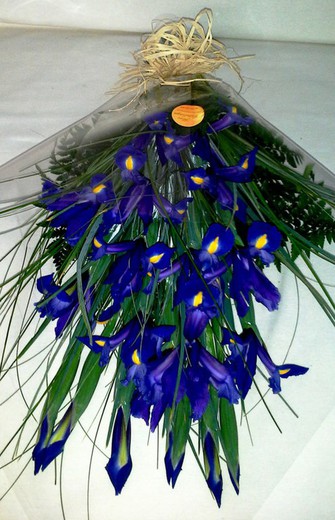 Bouquet d'iris funéraires