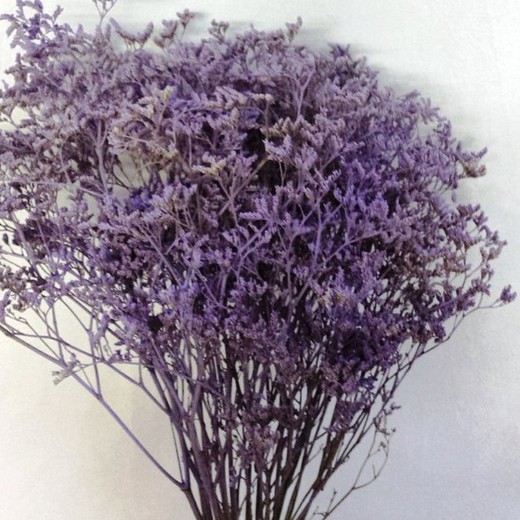 Ramo de Limonium Seco