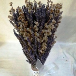 Precios de lavanda — Floresfrescasonline