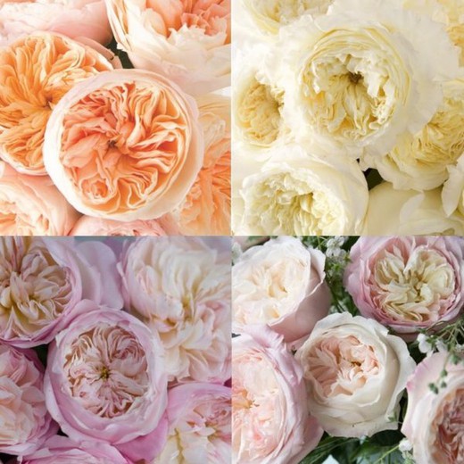 Caja De Flores Con Composición De Flor De Rosales En Blanco. Ramo