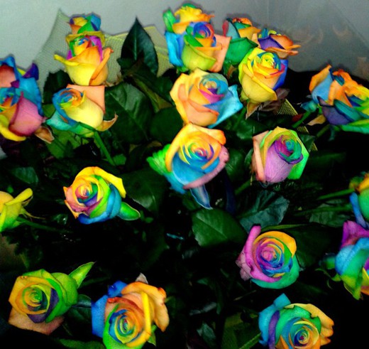 Buquê de rosas arco-íris Para presentear