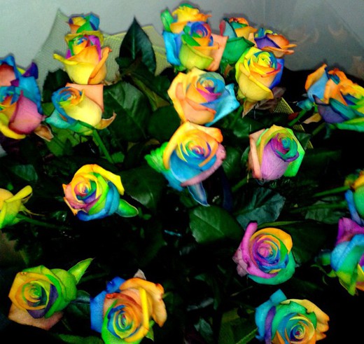 Ramo de Rosas Rainbow Arco Iris para Regalar