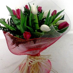 Precios de ramo de tulipanes — Floresfrescasonline