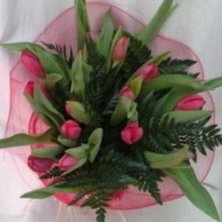 Precios de tulipanes — Floresfrescasonline