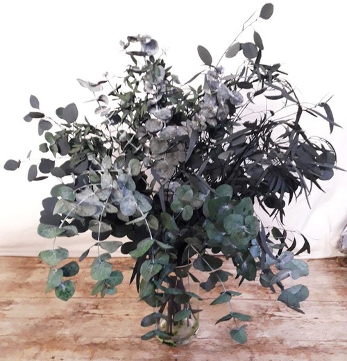 Paquete de eucalipto natural, 20 , ramas de eucalipto secas, arreglo de  flores secas, eucalipto para jarrón, decoración de eucalipto -  España