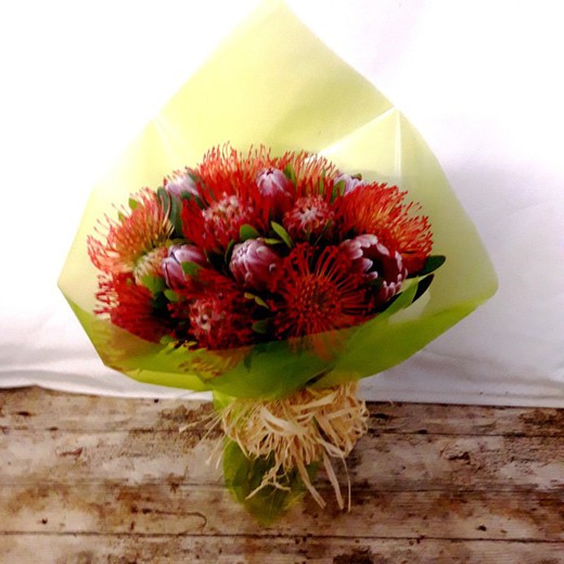 Sucessão Proteas Buquê Rosa