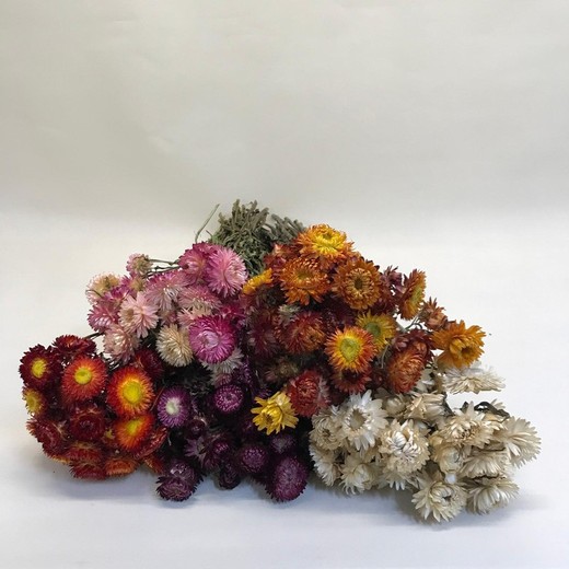 Bouquets d'hélichryse (fleurs en papier)