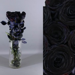 Precios de rosa negra — Floresfrescasonline