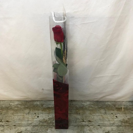 Rosa Sant Jordi Luxe Box