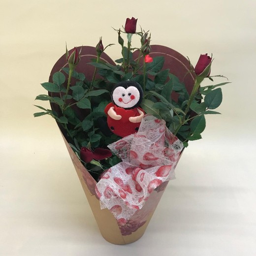 Mini rose de la Saint-Valentin