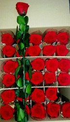 Ramo 20 Rosas Secas Dark Red — Floresfrescasonline
