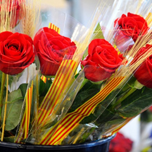 Roses rouges disposées 50 cm