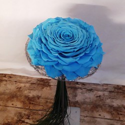 Precios de rosas azul — Floresfrescasonline
