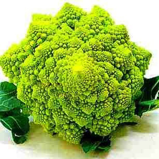 Sementes de Brócolis