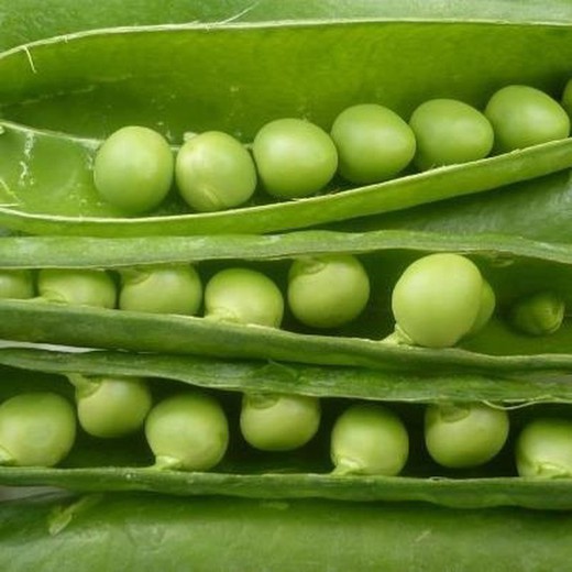 Seeds Peas Enrame