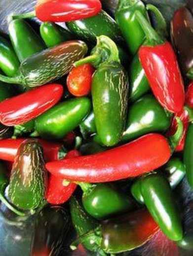 Semillas Jalapeños