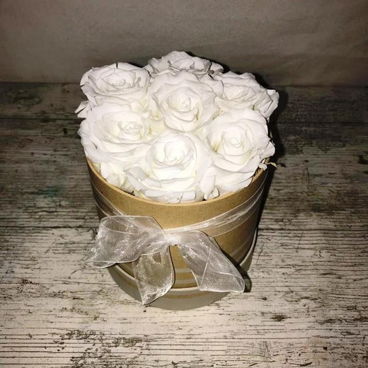 White Box White Roses