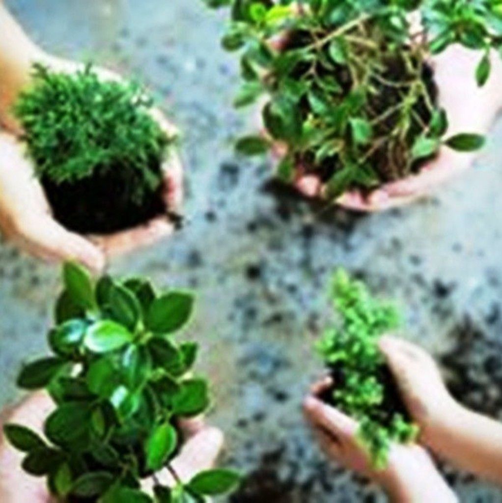 Fertilizantes e fitossanitários