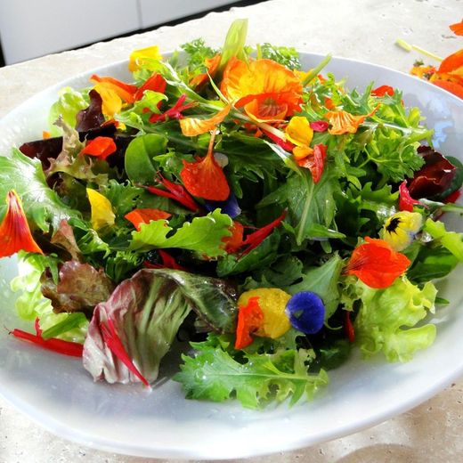 Flors Comestibles i Remeieres