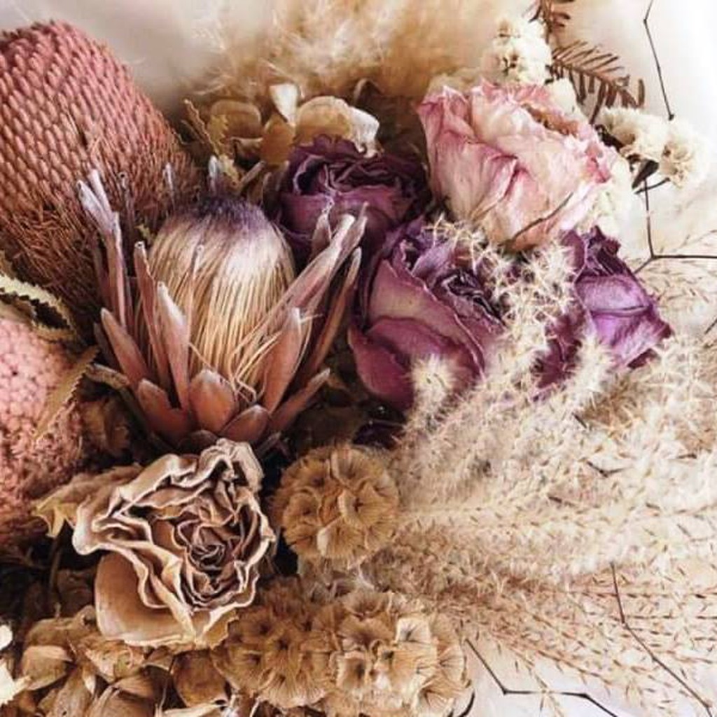 Flores secas para os melhores arranjos e decorações florais. — Flores  Frescas Online