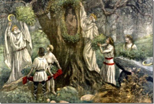 Flors, Llavors i Plantes Màgiques