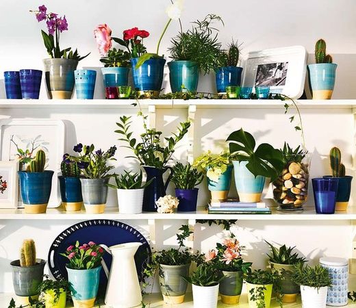 Macetas, Jarrones y Soportes