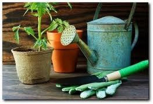 Materiales de Jardinería