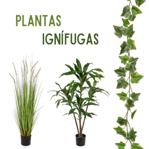 Plantes Artificials d'Exterior Ignífugues