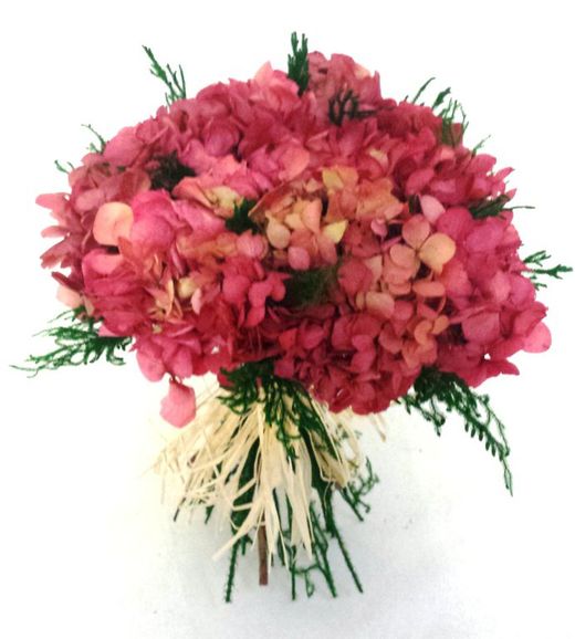 Rams i Centres Preservats