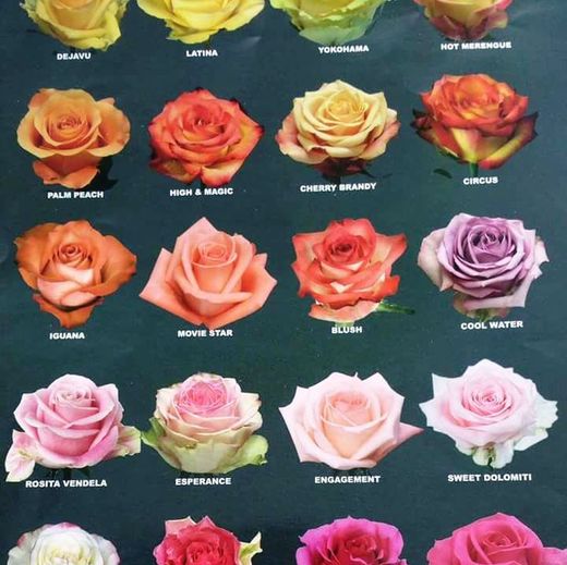 Rosas a la Carta