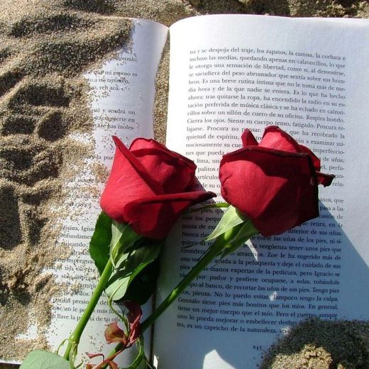 Rosas de Sant Jordi