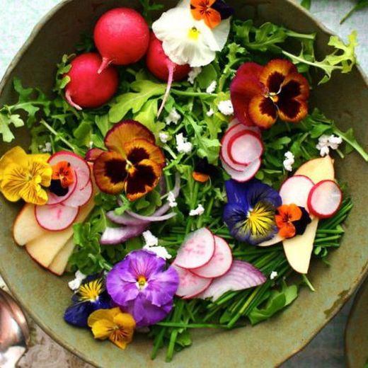 Llavors Flors Comestibles