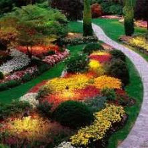 Llavors Flors de Jardí