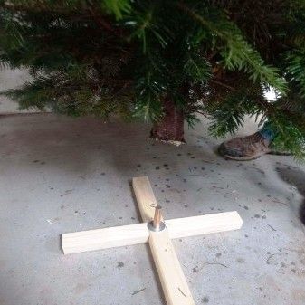 Abetos de Natal naturais