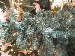 Sapins de Noël impériaux