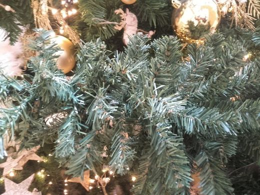 Sapins de Noël impériaux