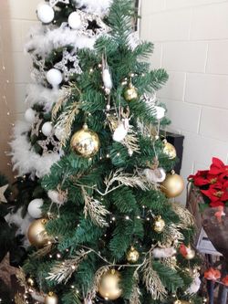 Sapins de Noël impériaux