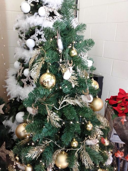 Sapins de Noël impériaux