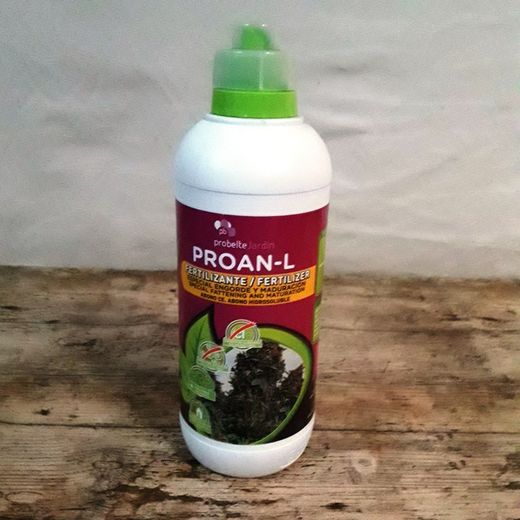 Engrais de floraison premium Proan L