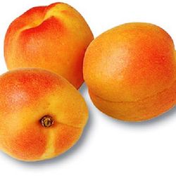 Albaricoquero Enano Apricold