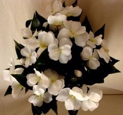 Alegria Guineana Artificial