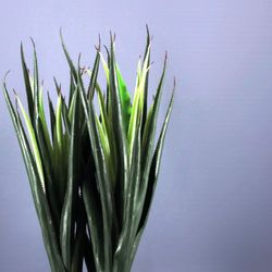 Aloe Arborescens Ignifugo Artificial