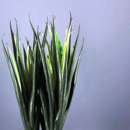 Aloe Arborescens Ignifugo Artificial