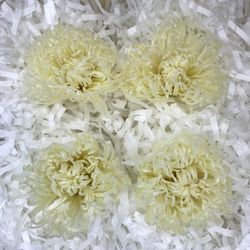 Anastasias Preservadas Caja 4 uds.