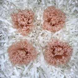 Anastasias Preservadas Caja 4 uds.