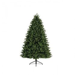 Sapin de Noël de Fribourg