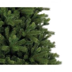 Sapin de Noël de Fribourg