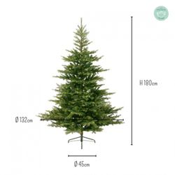 GRANDE ÁRVORE DE NATAL