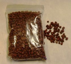 Arena de Silex Decorativa 2/3 mm Bote de 5 Kg